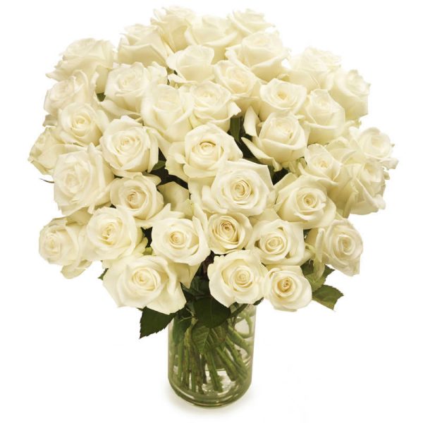 Witte rozen Bloemen