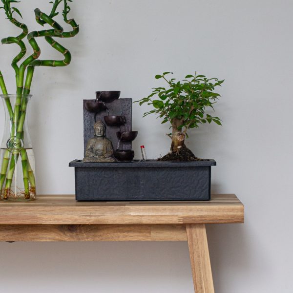 Bonsai met Buddha - Set van 2 - Bonsai - Hoogte 25-35cm -⌀29cm