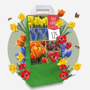Kleurrijke bloembollen - Set van 125 - Tulipa, Anem. Narcis. Allium, Muscari