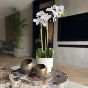 Kunstplant phalaenopsis orchidee - Wit - Hoogte 55cm