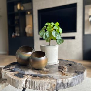 Kunstplant Pilea peperomioides - Hoogte 25cm