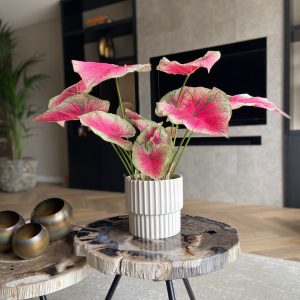 Kunstplant caladium– Hoogte 60cm