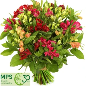 Boeket Alstroemerias (lang houdbaar)