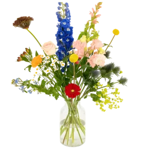 Plukboeket bont los gebonden