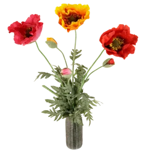 Klaprozen XXL H 80 - 120 cm