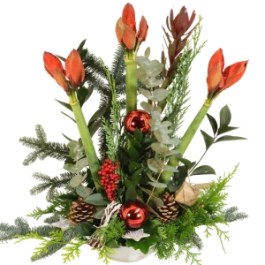 Kerststuk 3 Amaryllissen ca. 60 cm hoog