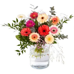 Glorieuze Gerbera Bloemen