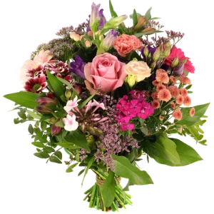 Seizoens bloemen roze en paars