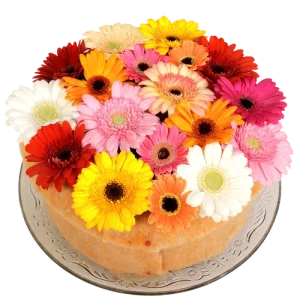 Gerbera bloementaart