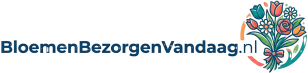 Bloemen Bezorgen Vandaag-logo trans